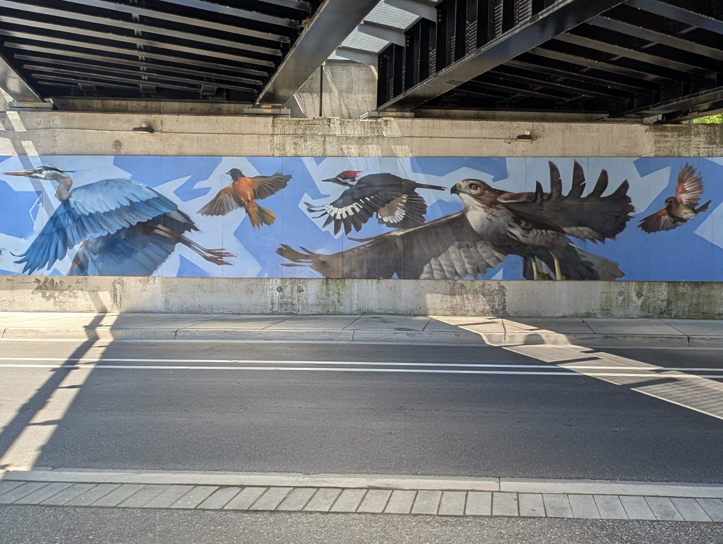 A painted mural under a bridge over a street depicts different kinds of flying birds against a blue background.