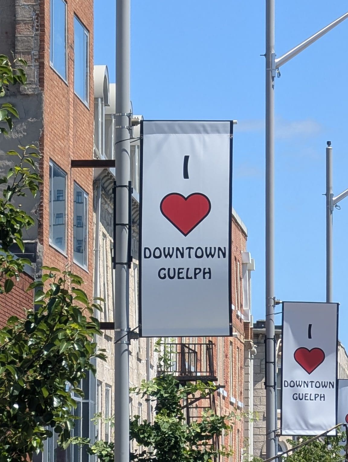 A row of "I heart Downtown Guelph" banners hanging on streetlights.